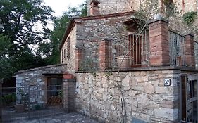 Casapaf